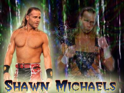Shawn Micheal Images